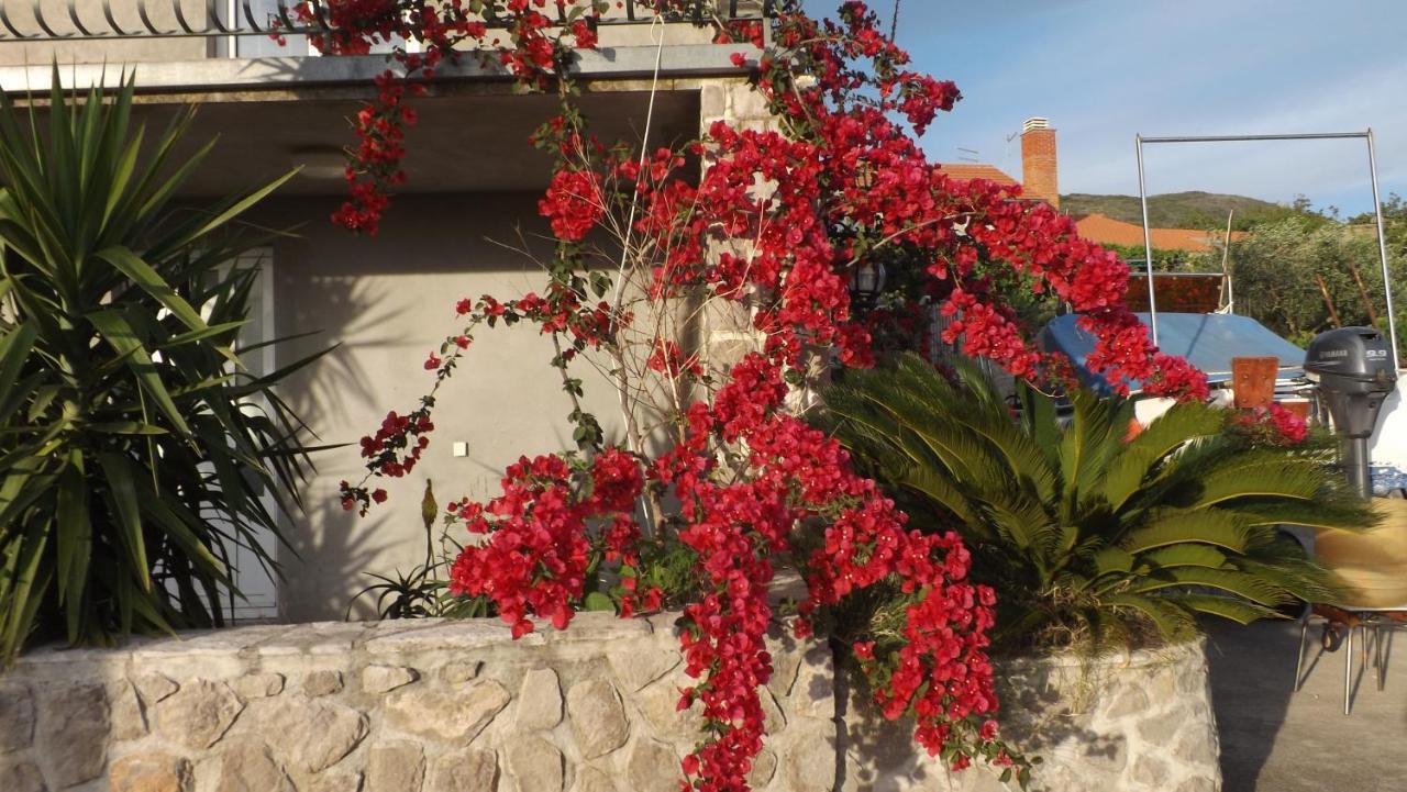 Lustica Apartments Εξωτερικό φωτογραφία